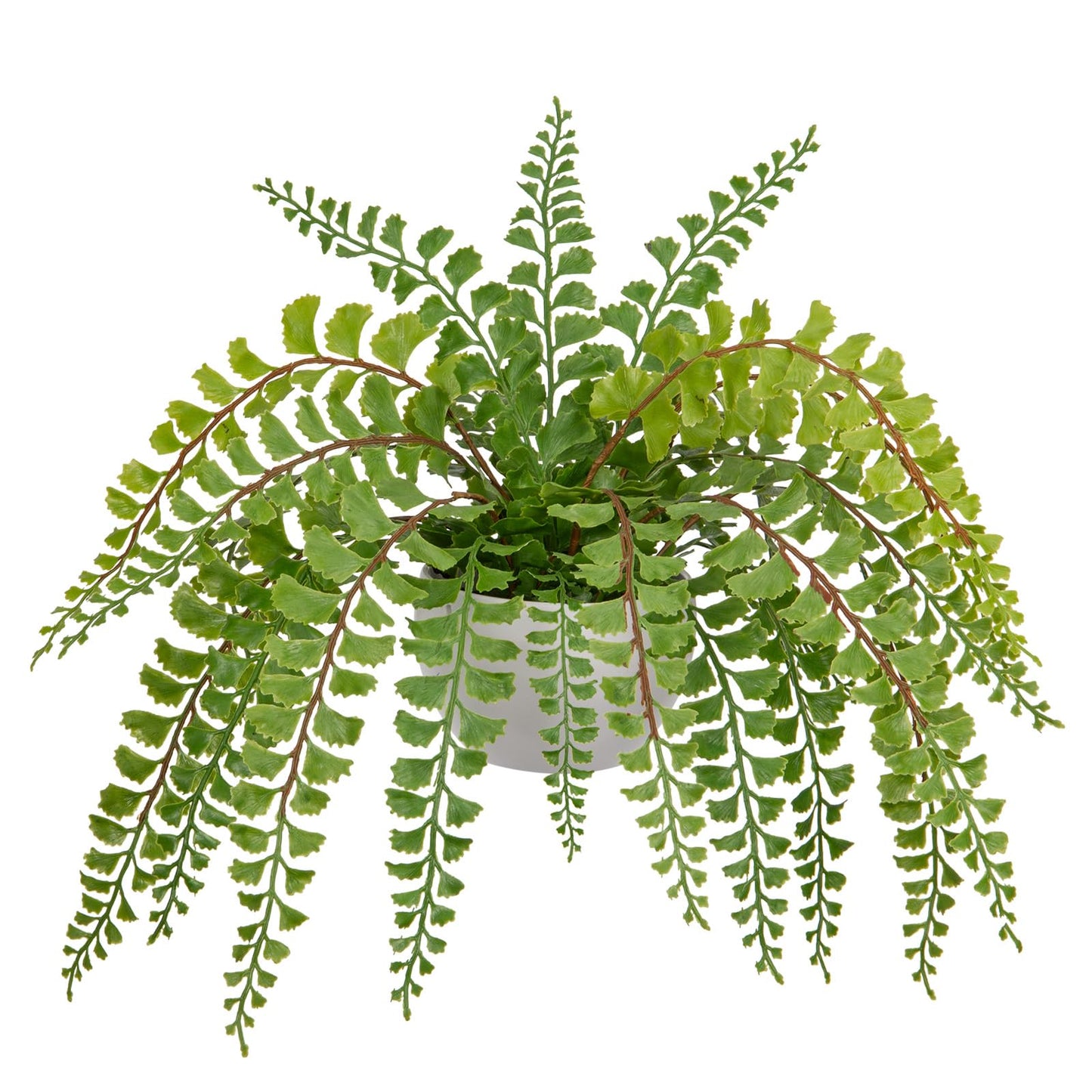 Hollyone Artificial Fern Potted Plant for Outdoors Indoors Lifelike Faux Boston Fern Artificial Plants in White Pot for Garden Patio Home Farmhouse Windowsill Office Decoration