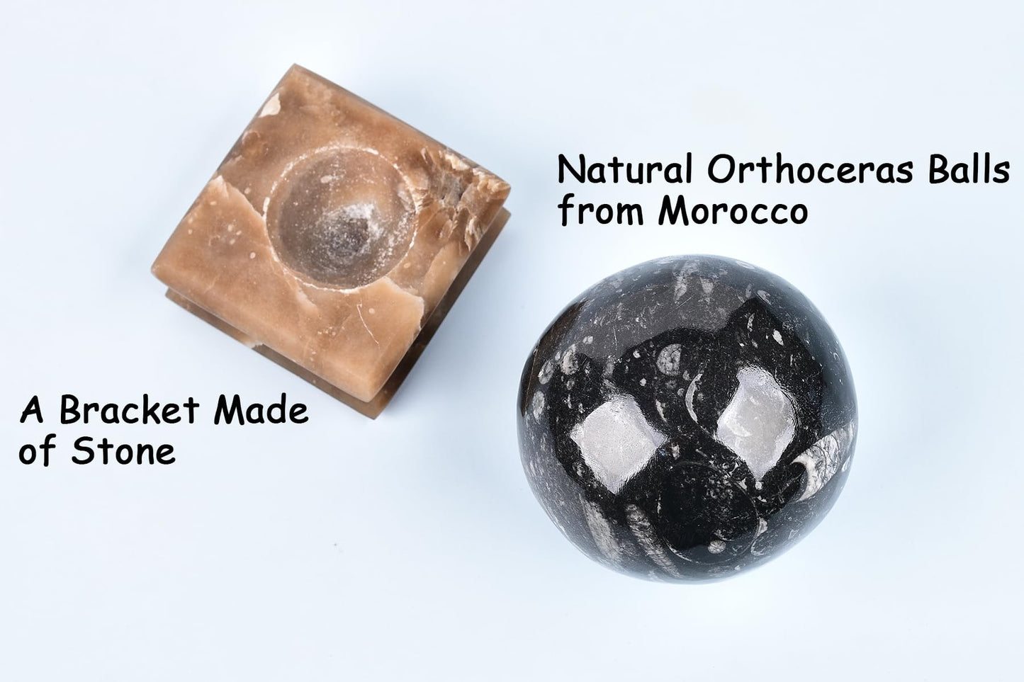 AMOYSTONE Large Orthoceras Fossil Divination Sphere for Collector Gift