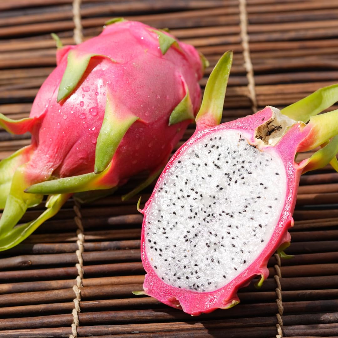 White Dragon Fruit Live Plant, Tropical Sweet Fruit Plant, Well Rooted in 4'' Pot, Ready to Grow