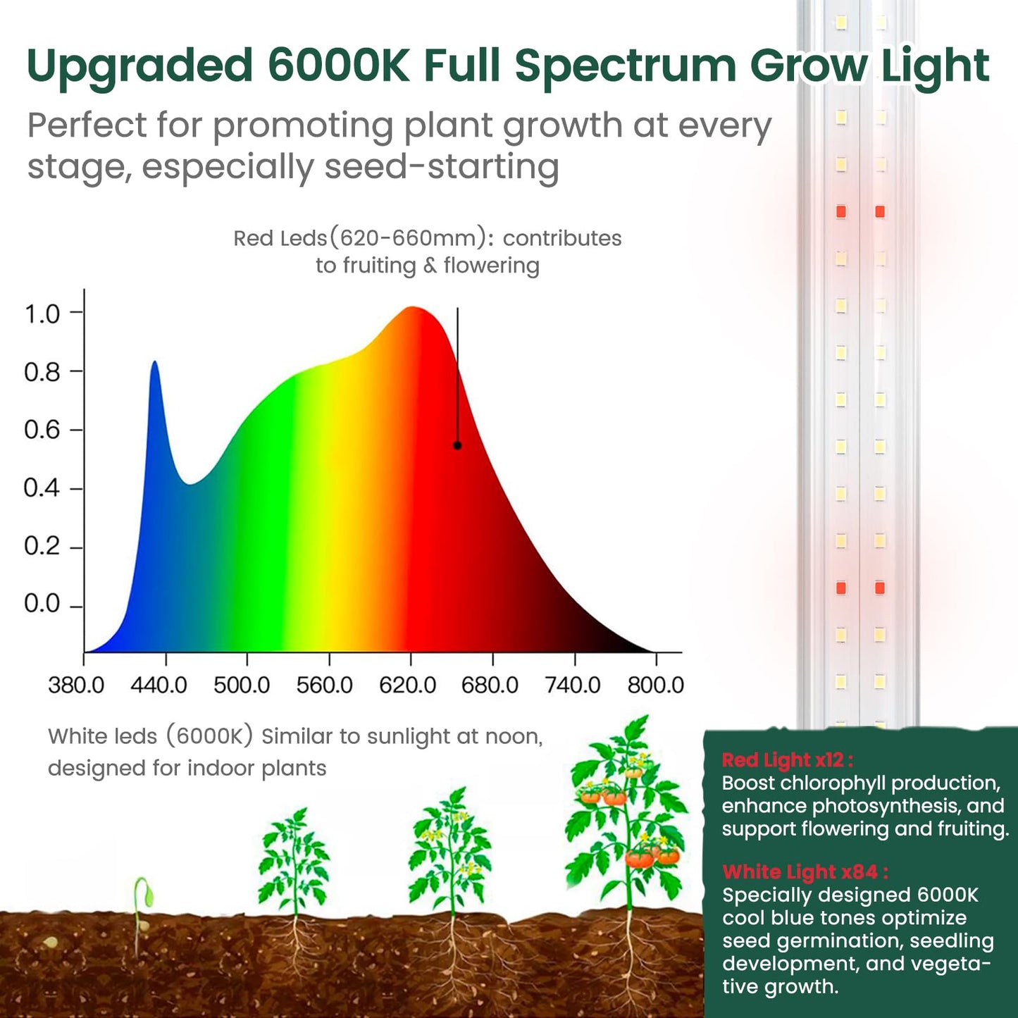 SOLIGT Plant Shelf with Grow Lights, 5 Tier Grow Light Stand Rack with 8 Pack 2FT 6000K T8 Full Spectrum Led Grow Lights for Indoor Plants, Seed Starting, Seedling Growing, Timer Included