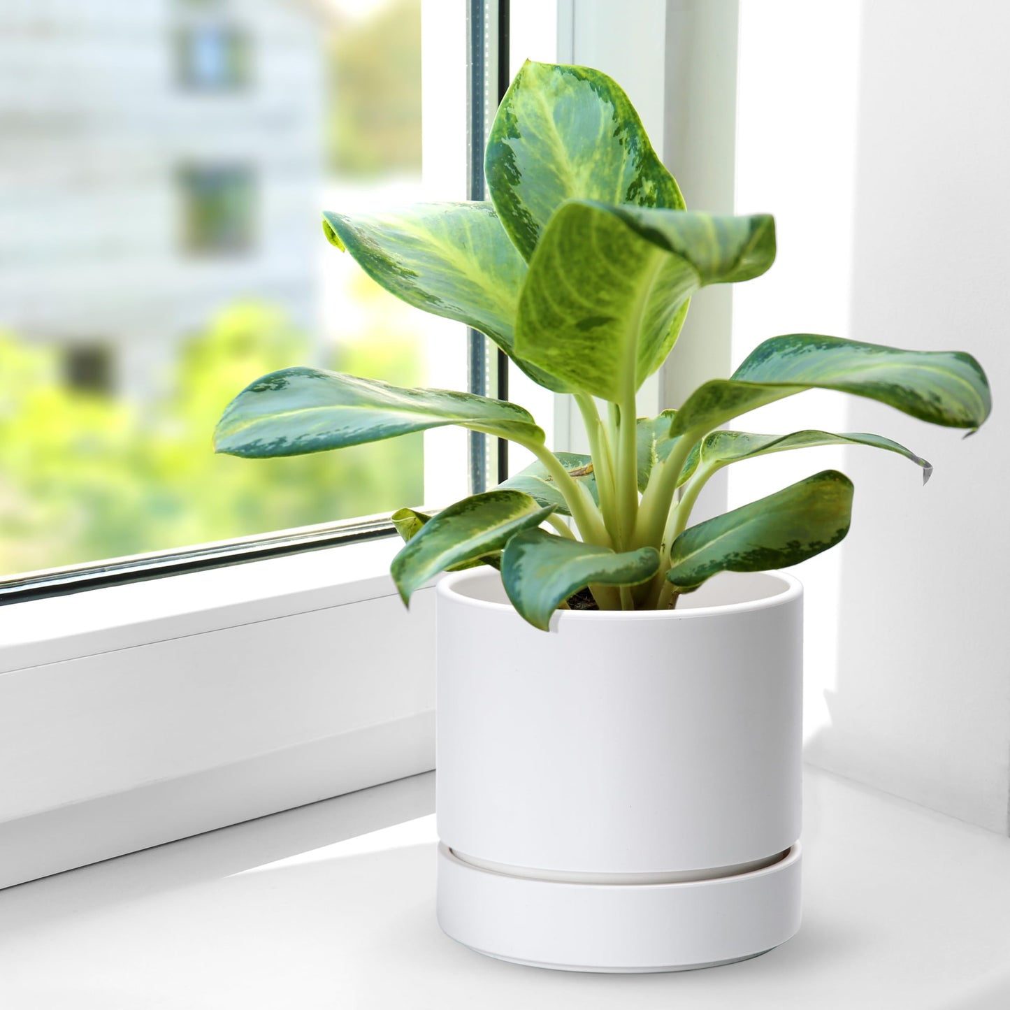 6 Inch Modern Plastic Round Pots for Indoor Houseplants and Herbs, Pack of 3 Planter Pot with Drainage Hole & Saucer, Deep Water Catch Tray, Straight Cylindrical Pot for Plants, Matte White, 23-D-S-1