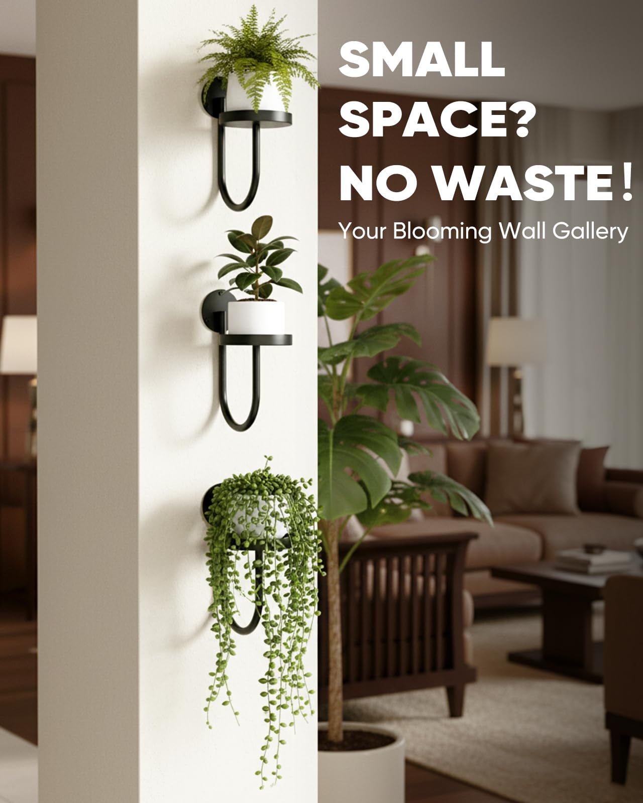 chufa Wall Plant Holder – Hanging Planters for Indoor, Window Planter Shelves & Hanger, Indoor Wall Planters, Modern Plant Decor, Black (3 Pack)
