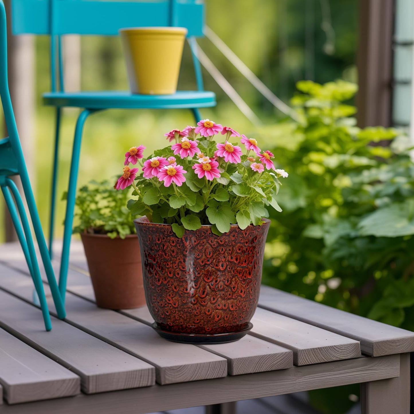 SUNPOTFOR Ceramic Plant Pots - 5.6 Inch Plant Pot Indoor Outdoor, Small Planter with Drainage Hole and Saucer, Round Planter, Orchid Succulent Pots, Garden Room Decor, Gardening Gifts for Women, Red