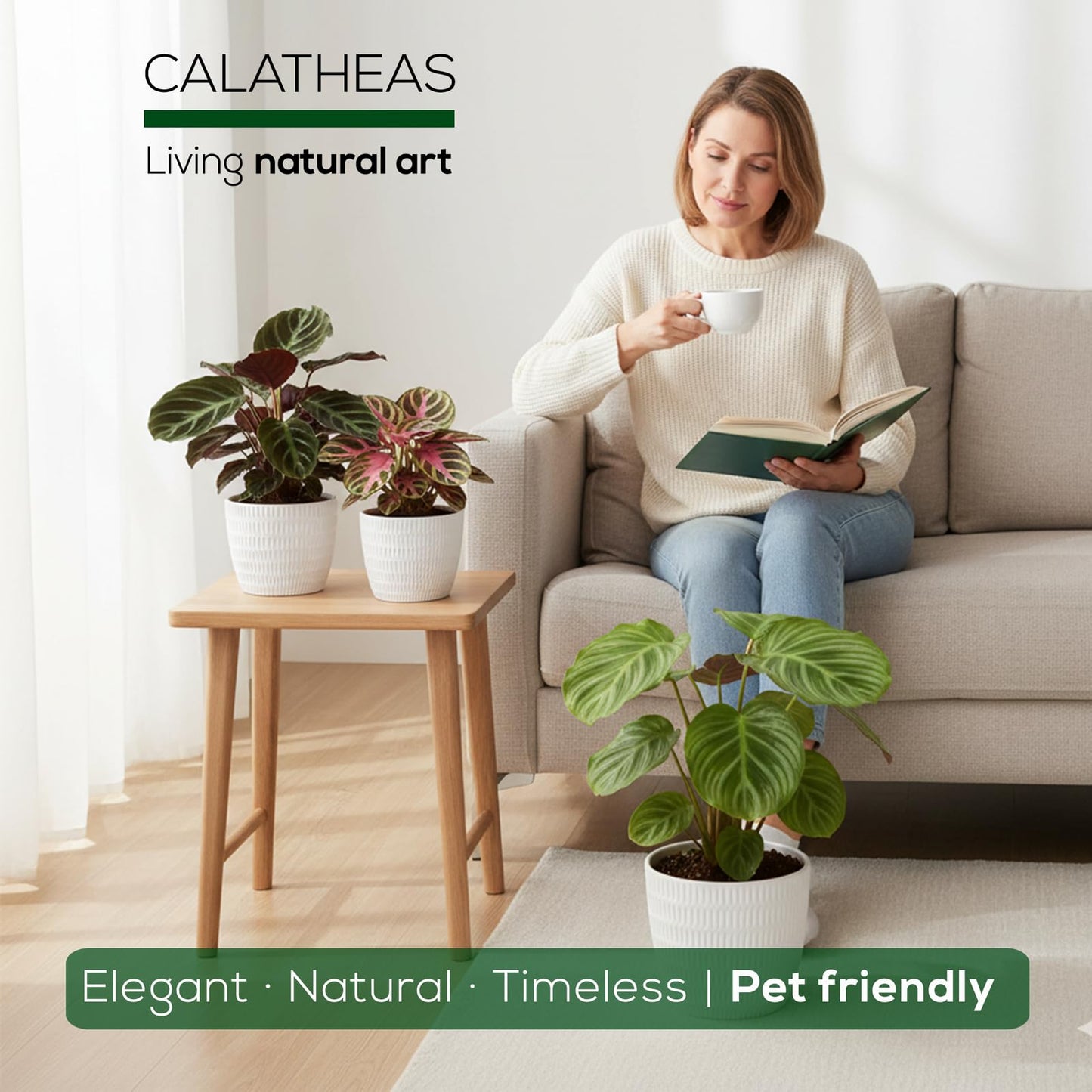 Calathea Collection (4 Pack) Live Plants - Prayer Plants, Air Purifying Plant Indoor, Easy Plants Live Houseplants, Perfect for Home, Room, or Office Decor, Real Plants Indoor/Outdoor