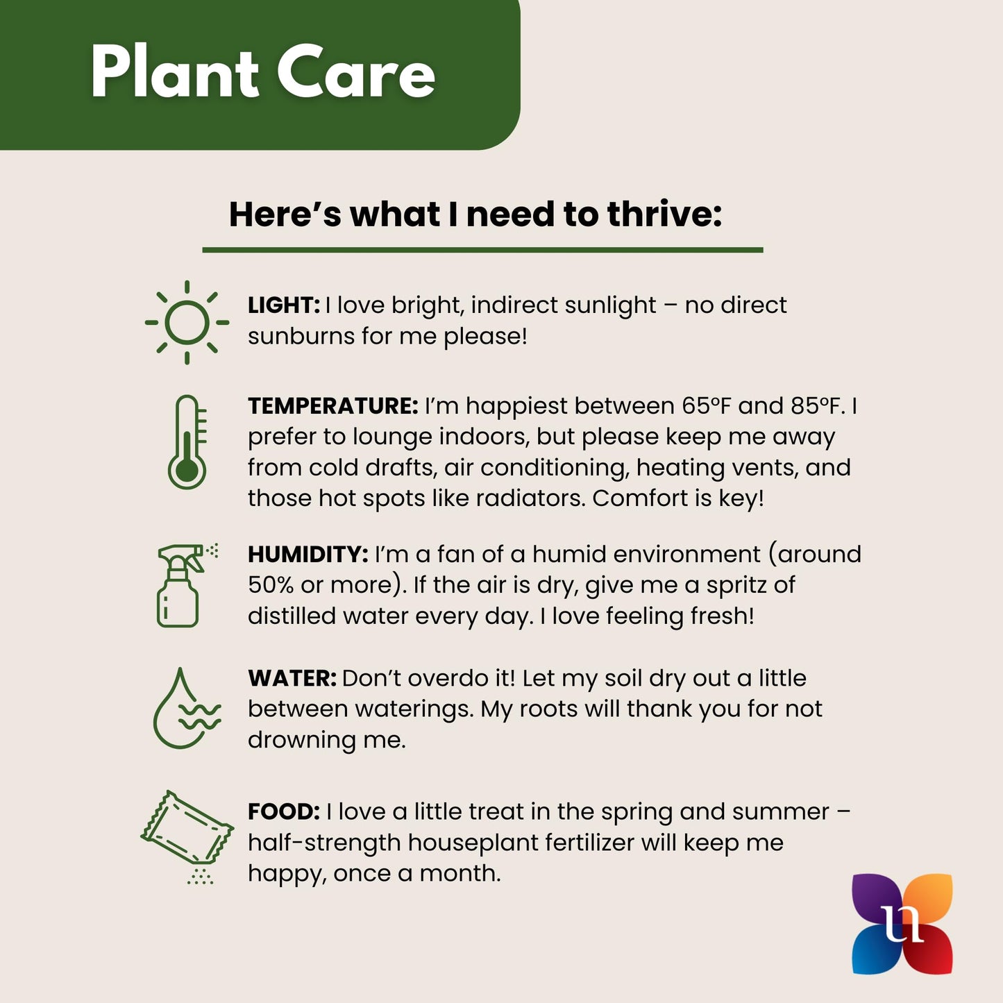 Dracaena Janet Craig Live Plant, 38–42 inches Tall in 10 inch Pot, Low Light Tropical Indoor Tree, Easy Care Air Purifier Plant for Home, Office and Interior Decor by United Nursery