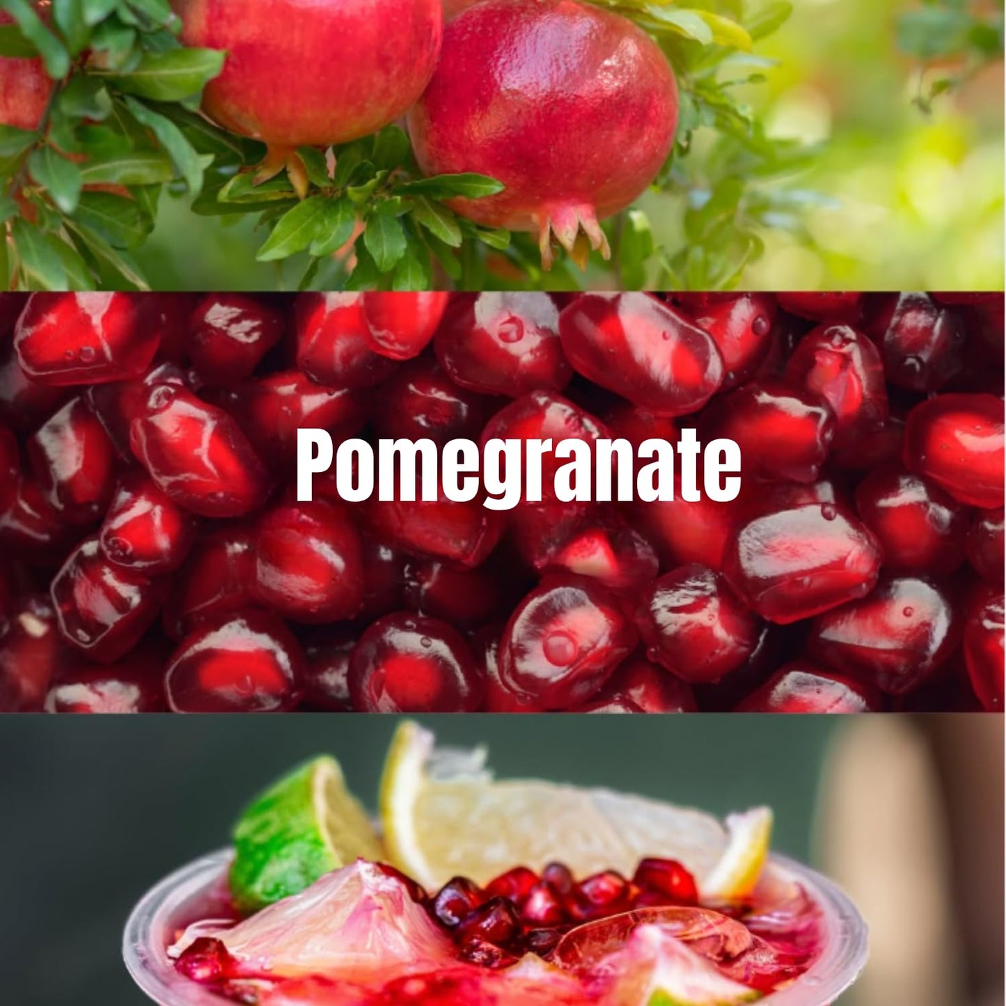 Pomegranate Tree Live Plant 6-10'' Tall, Hardy Red Pomegranate Bush in Gallon Pot, Full Roots and Ready to Plant