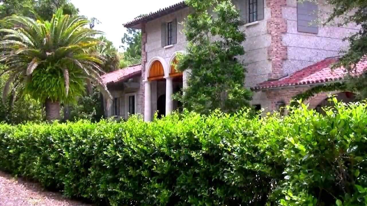 Ligustrum Waxleaf Privet - 10 Live Plants - Evergreen Privacy Screening Hedge