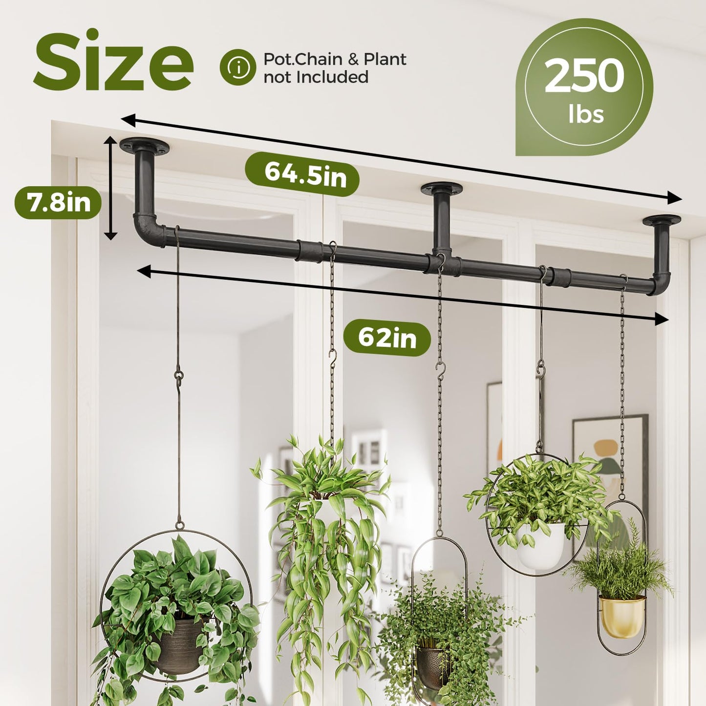 Bamworld Window Plant Hanger Indoor 63in Hanging Planters for Indoor Plants Hanging Plants Holder Hanging Rod Window Plant Shelves Wall Planters Pot/Chain/Plant Not Included(Black)