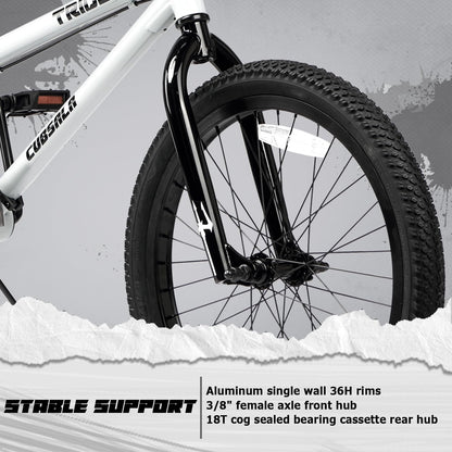 cubsala 20 Inch BMX Race Bike Trident Bicycles Beginner-Level to Advanced Riders with 2 Pegs Trick Cycling and Professional BMX Riding, Color White