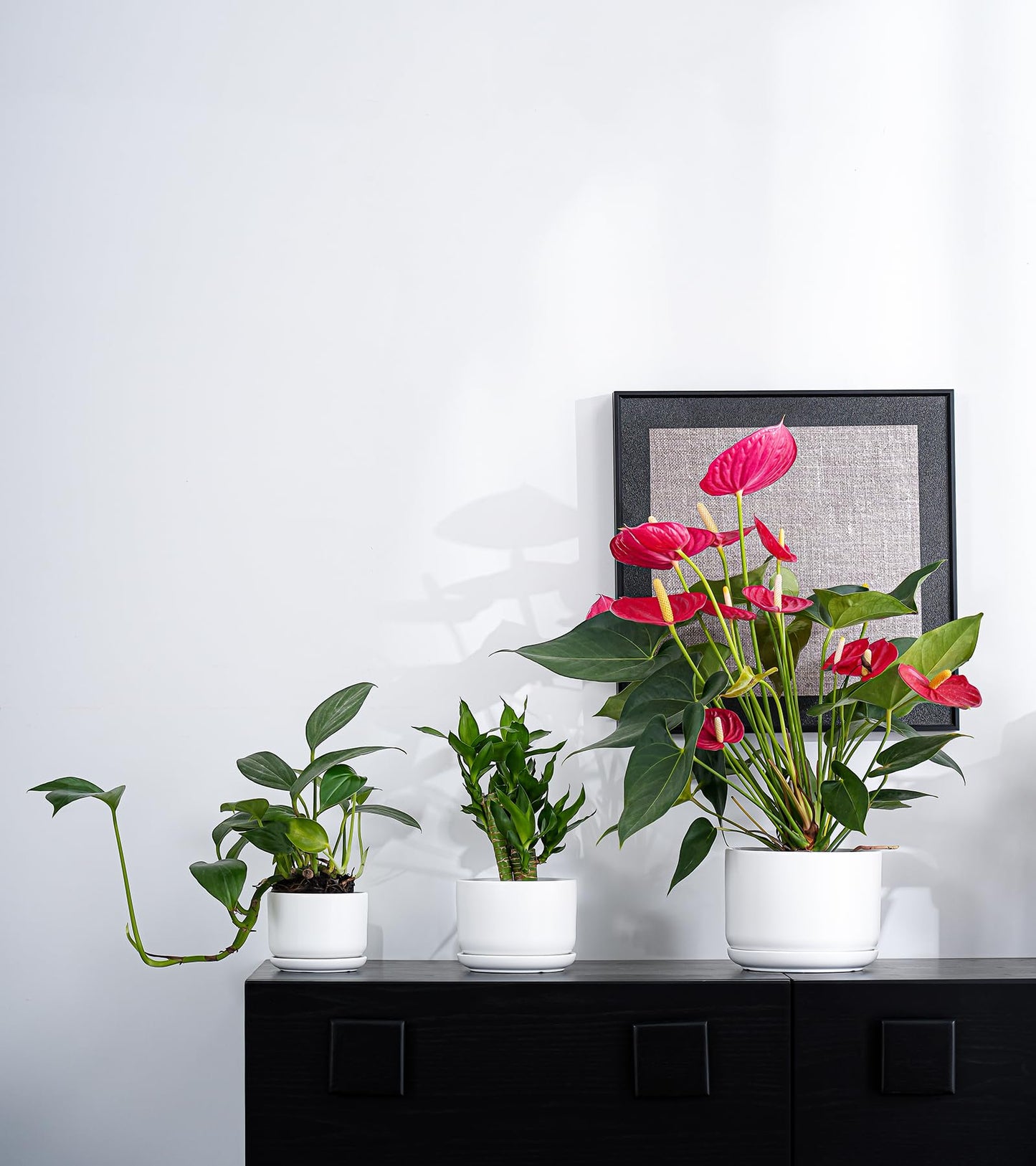 Ton Sin Plant Pots, 4.1+5.1+6.5 inch, Set of 3, Ceramic Planters with Drainage Hole and Saucer, Indoor Flower Pot with Drainage Hole, Gifts for Mom(Matte White)