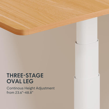 FLEXISPOT E6 Pro 55" x 28" Dual Motor Electric Standing Desk, Organic Modern Oval Leg Design, 3-Stage Height Adjustable Sit Stand Desk with Heavy Duty 330lbs, Maple Desktop, White Frame