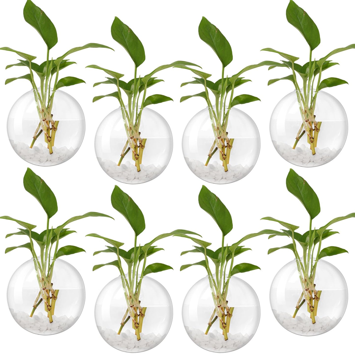 Layhit 8 Pcs Wall Hanging Planters Terrarium Glass Propagation Wall Mounted Planter Oblate Flower Vase Clear Glass Plant Containers for Hydroponics Plants Home Office Garden Decor