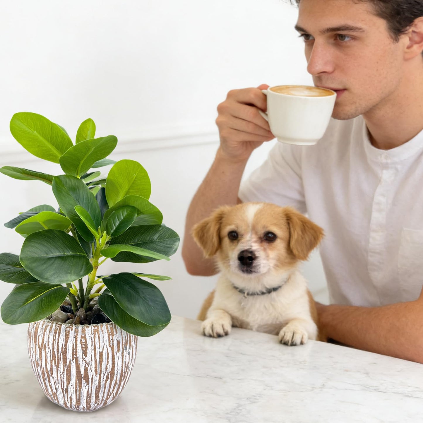 FLRLIVING Artificial Potted Plants Life-Like Fake Plant with Farmhouse-Style Cement Planter Feturing Light Wood Tone for Room Bathroom Bedroom Kitchen Office Dese Coffee Table Décor (9inch)