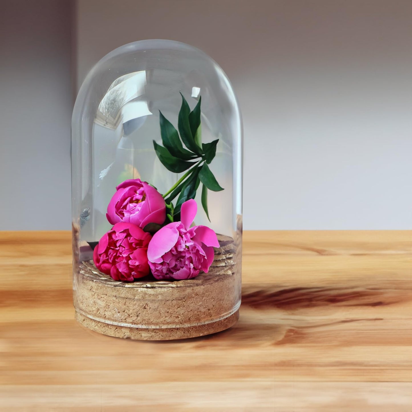 Ipetboom 5pcs Cloche Glass Dome Display Covers with Cork Base - Tabletop Centerpiece Bell Jar Showcase Terrarium for Eternal Flowers Gold Rose Micro Landscape Flower Plant Preserved - 3.9x2.4in