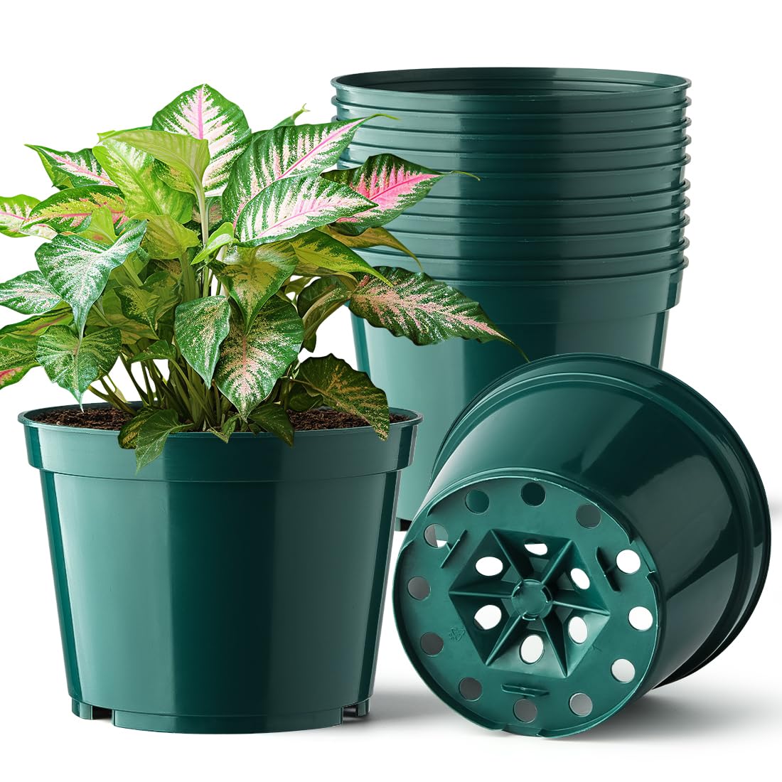 BTPLASTIK 15 Pack 6 Inch Plant Pots with Drainage Holes, Sturdy Plastic Nursery Pots for Plants, Thickened Flower Pots for Indoor Outdoor Planting Transplanting, Succulents, Seedlings, Green
