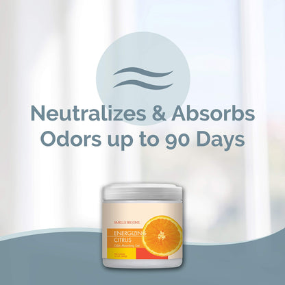 SMELLS BEGONE 15 oz Air Freshener Odor Absorber Gel - Absorbs Odor from Bathrooms, Cars, Pet Areas, Boats & RVs - Made with Essential Oils - Energizing Citrus Scent