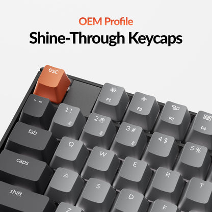 Keychron K10 Full Size 104 Keys Bluetooth Wireless Mechanical Gaming Keyboard for Mac Windows K Pro Brown Switch, Multitasking/White LED Backlight/USB C Wired Computer Keyboard