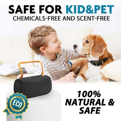 Timgle 1 Pack Car Air Freshener, Lasts 365+ Days, No Chemicals 100% Activated Bamboo Charcoal Fragrance, Free Deodorizer, Natural Auto Odor Eliminator, Purifier, Neutralizer (Khaki Strap)