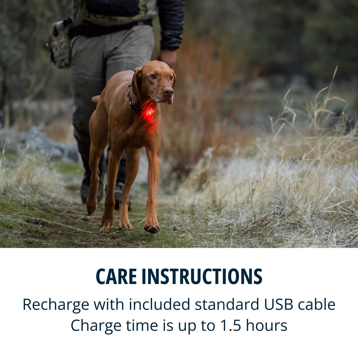 RUFFWEAR The Beacon Dog Safety Light, Waterproof Dog Collar Light, LED Pet Dog Collar Buckle Night Light, Safety Clip On Flashing Dog Light for Dog Leads & Harnesses, Rechargeable Dog Light, Clear