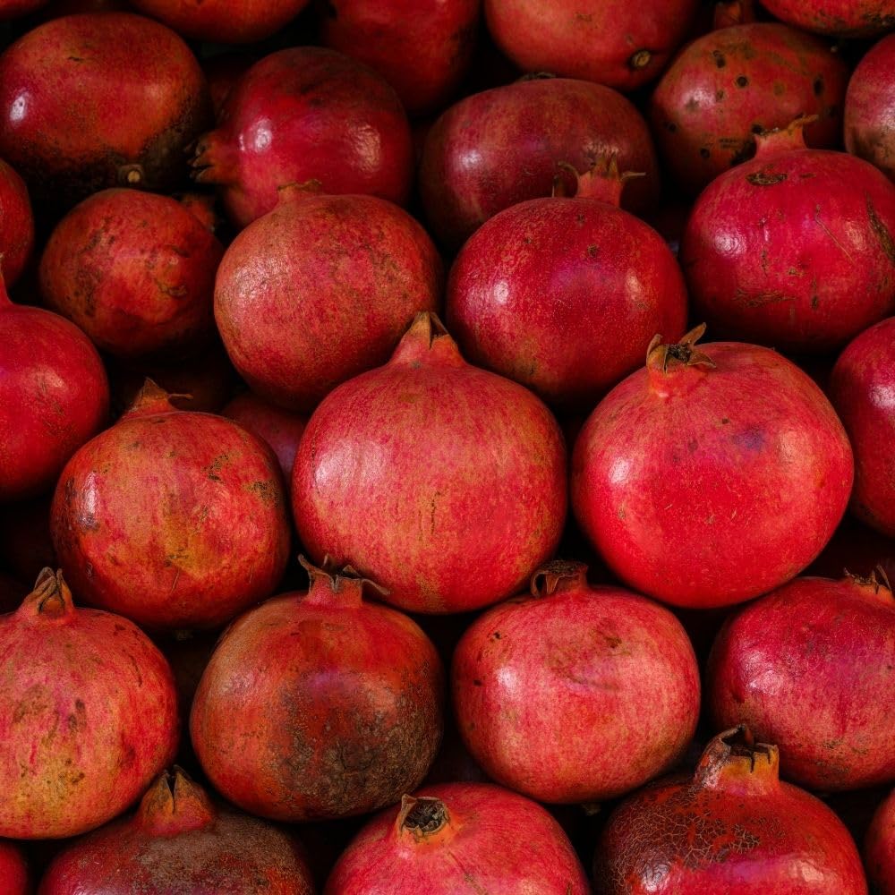 Wonderful Pomegranate Live Plant 4" Pot, Sweet Edible Pomegranate Fruit Plant for Indoor Outdoor Garden