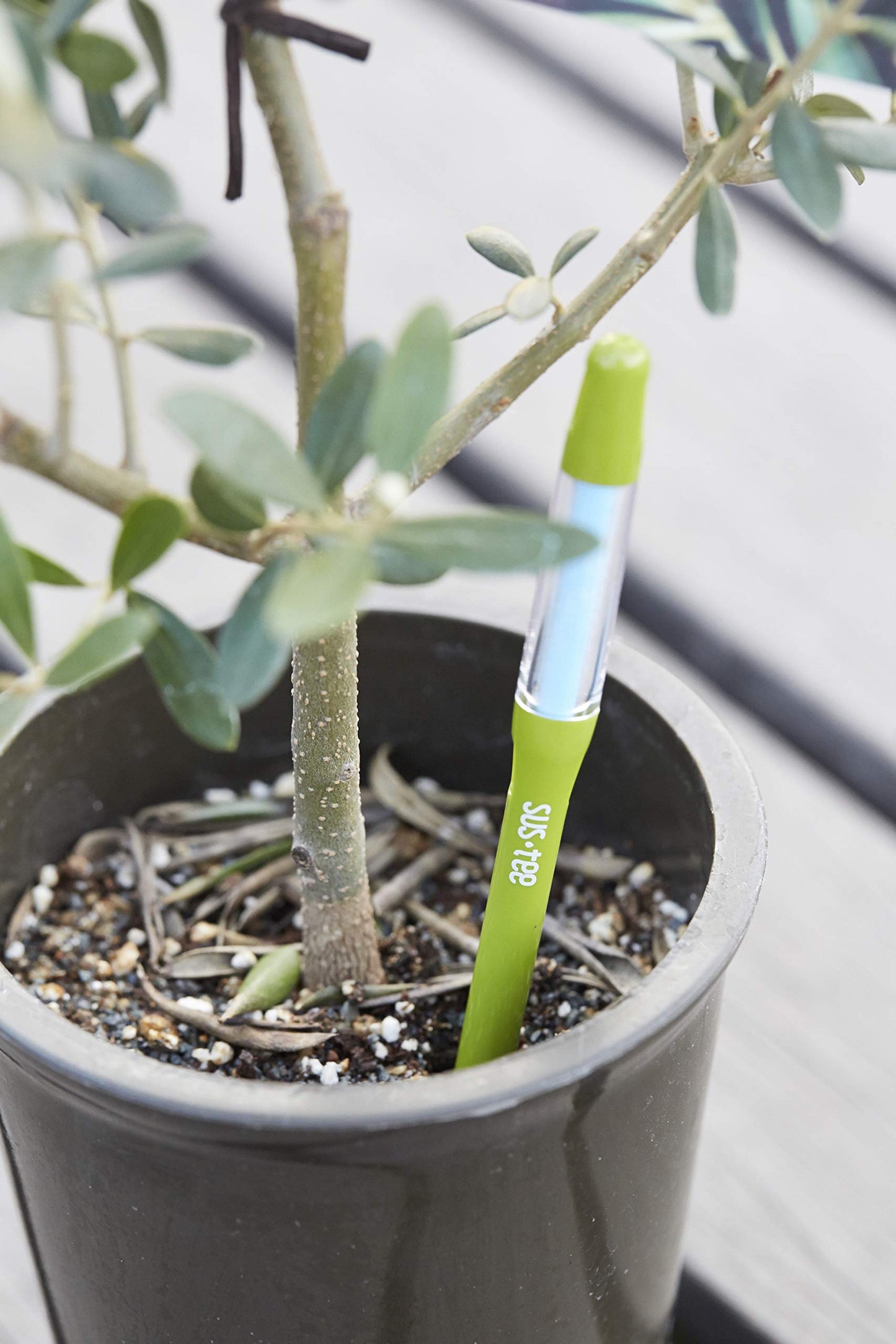 SUStee Watering Indicator for plants (Set of 5) - Smart Watering for All Plants, Works in All Soils | Minimalistic Design, Easy-to-Use, No Batteries | 100% Made in Japan (Green, Medium)