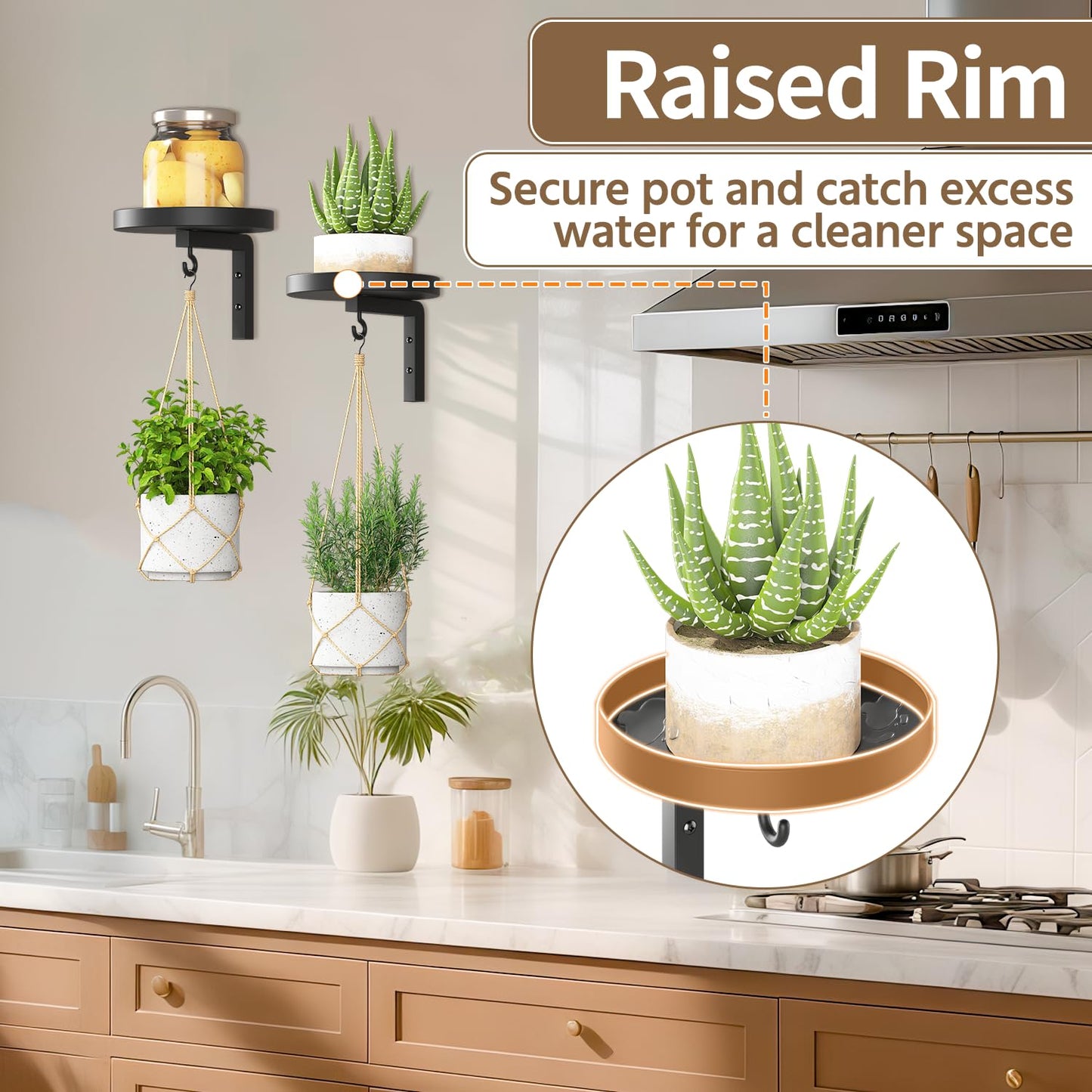 LASZOLA Plant Hangers Shelves Wall Mounted Indoor, Metal Window Plant Holders, 2Pcs Modern Floating Flower Display Stand with 2 Hooks for Outdoor Kitchen Bathroom Decor, Black