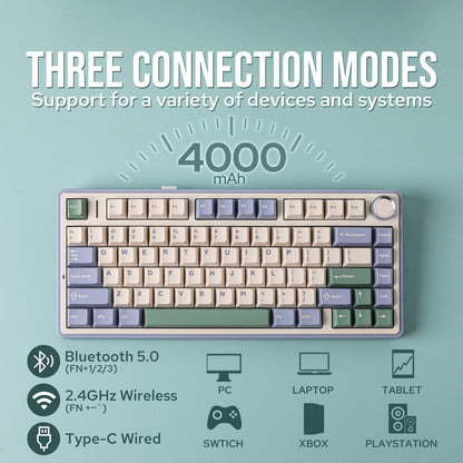 EPOMAKER x Aula F75 Gasket Mechanical Keyboard, 75% Wireless Hot Swappable Gaming Keyboard with Five-Layer Padding&Knob, Bluetooth/2.4GHz/USB-C, RGB (Light Blue, LEOBOG Reaper Switch)