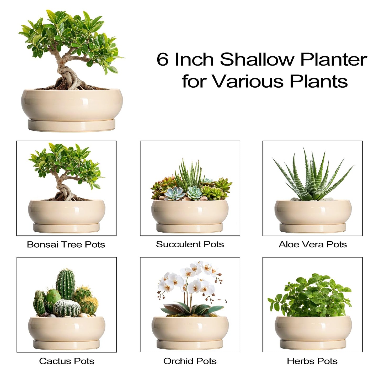 EPFamily Small Bonsai Pots - 6 Inch Ceramic Succulent Planters for Indoor Plant Outdoor, Shallow Planter with Drainage Hole and Saucer, Round Succulent Pots, Kitchen Decor, Gifts for Women Men, Beige