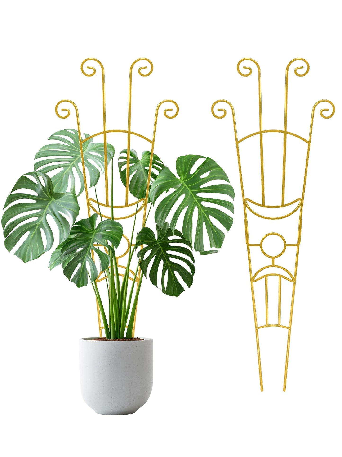 33 Inch Tall Expandable Metal Trellis for Potted Plants, Rustproof Expandable Indoor Outdoor Plant Support Trellis for Climbing Plants, Monstera, Ivy, Hoya with Sturdy Weighted Base (Gold)