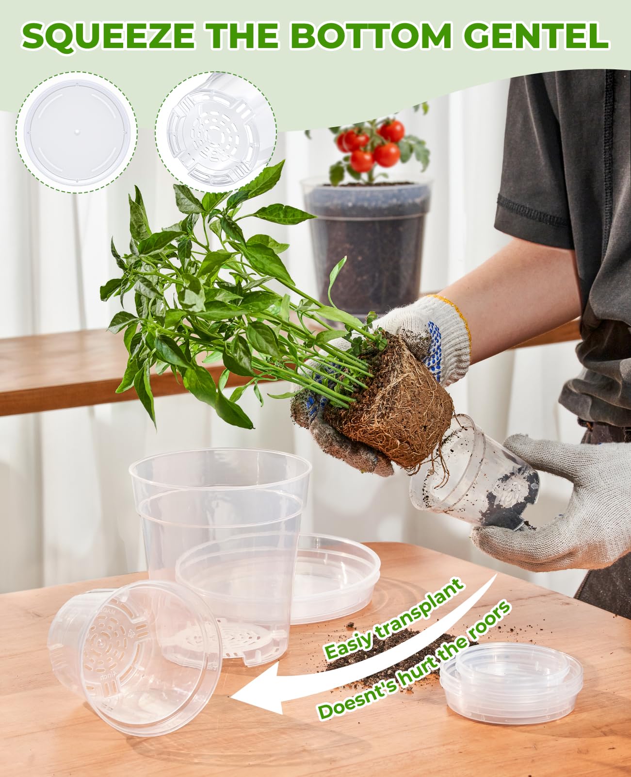 homenote 4 Inch Clear Nursery Pots 30 Pack with Drainage and Plant Saucers, Rigid High Transparency Plastic Nursery Pots for Plants,Thick Walled Planter Nursery Pots with Upgraded Drainage Holes