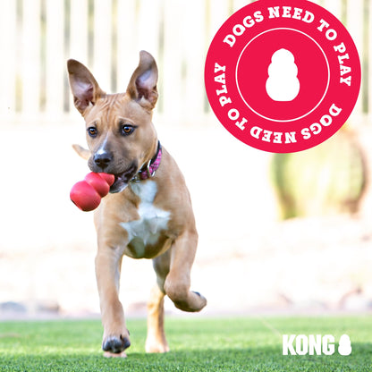 KONG Aqua Floating Fetch Toy - For Water Retrieval, Play & Exercise - With Foam Interior & Rope for Throwing - For Large Dogs, Orange