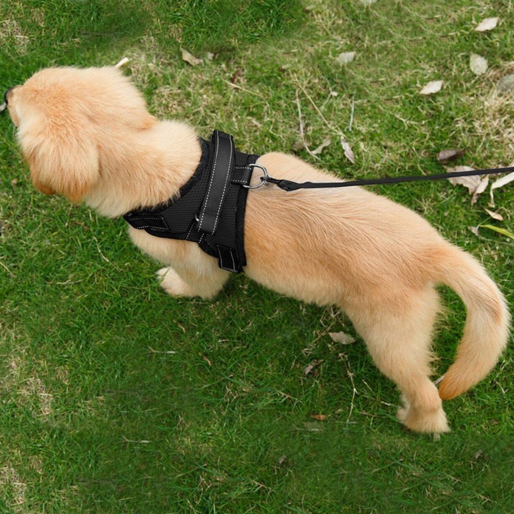 Dog Harness Mesh Breathable Comfortable Pet Vest No Pull Adjustable Soft Padded Dog Power Strap (S, Black)