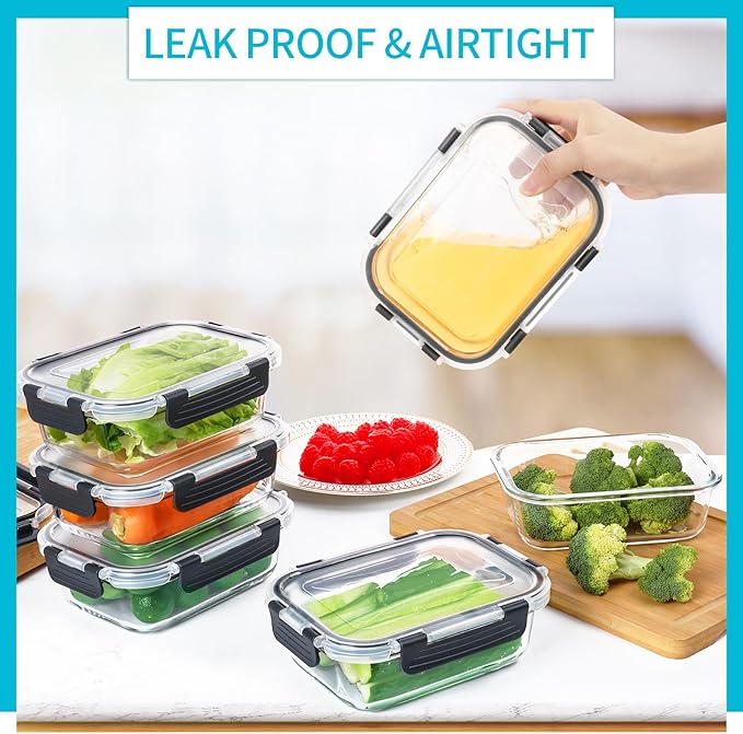 Skroam 10 Pack Glass Meal Prep Containers, 22 OZ Glass Airtight Food Storage