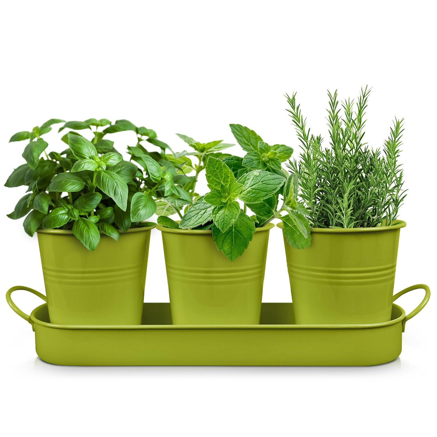 Plexon Herb Planter Indoor Garden Set of 3 with Tray, Metal Herb Pots for Indoor Plants, Round Kitchen Garden Kit Ideal for Windowsill Planter or Countertop, Green Powder Coated