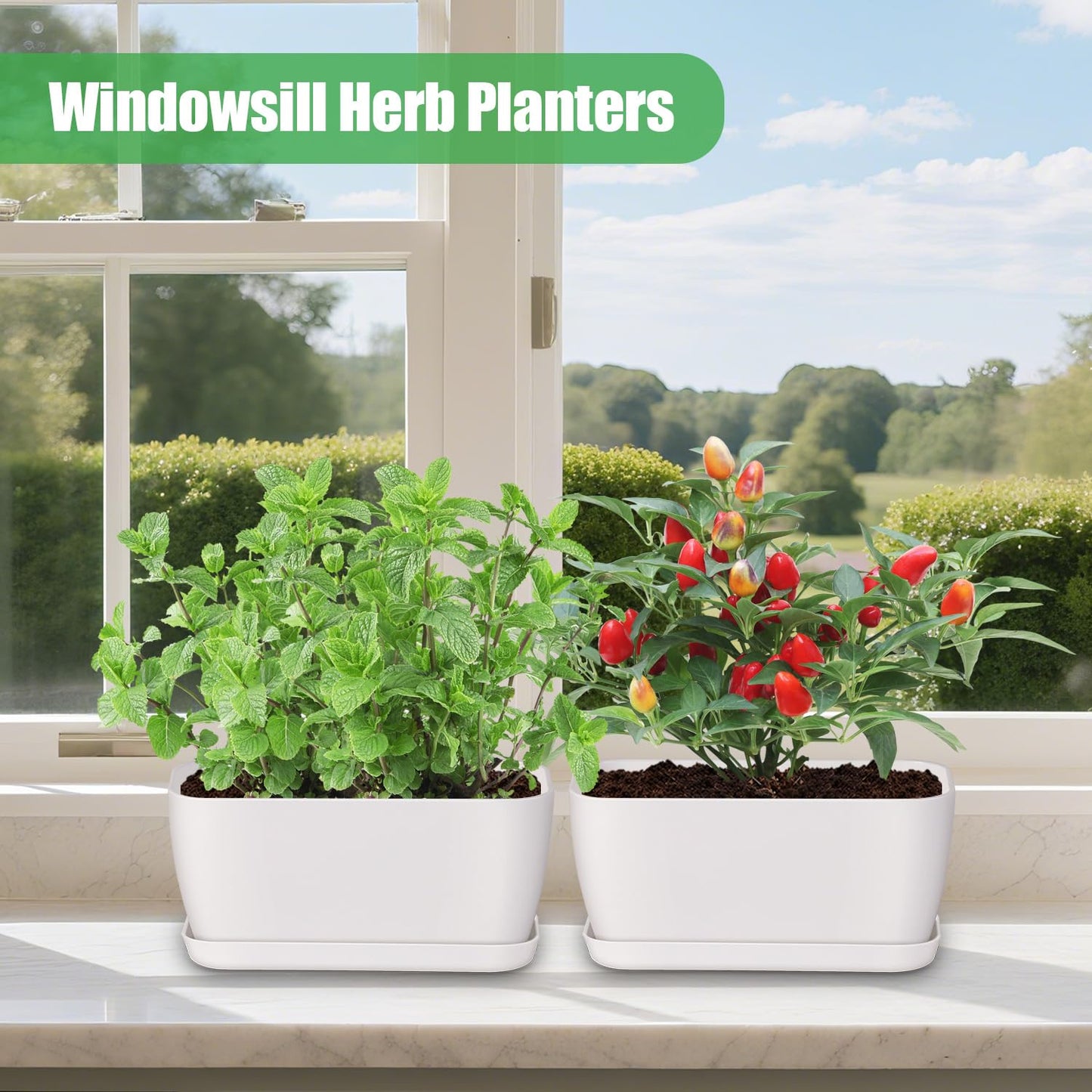 Oliz 4 Set Window Herb Planter Box Rectangular, Green Plastic Planters with Multiple Drainage Holes and Trays,Indoor Succulent Cactus Mint Flower Pot for Windowsill, Garden Balcony