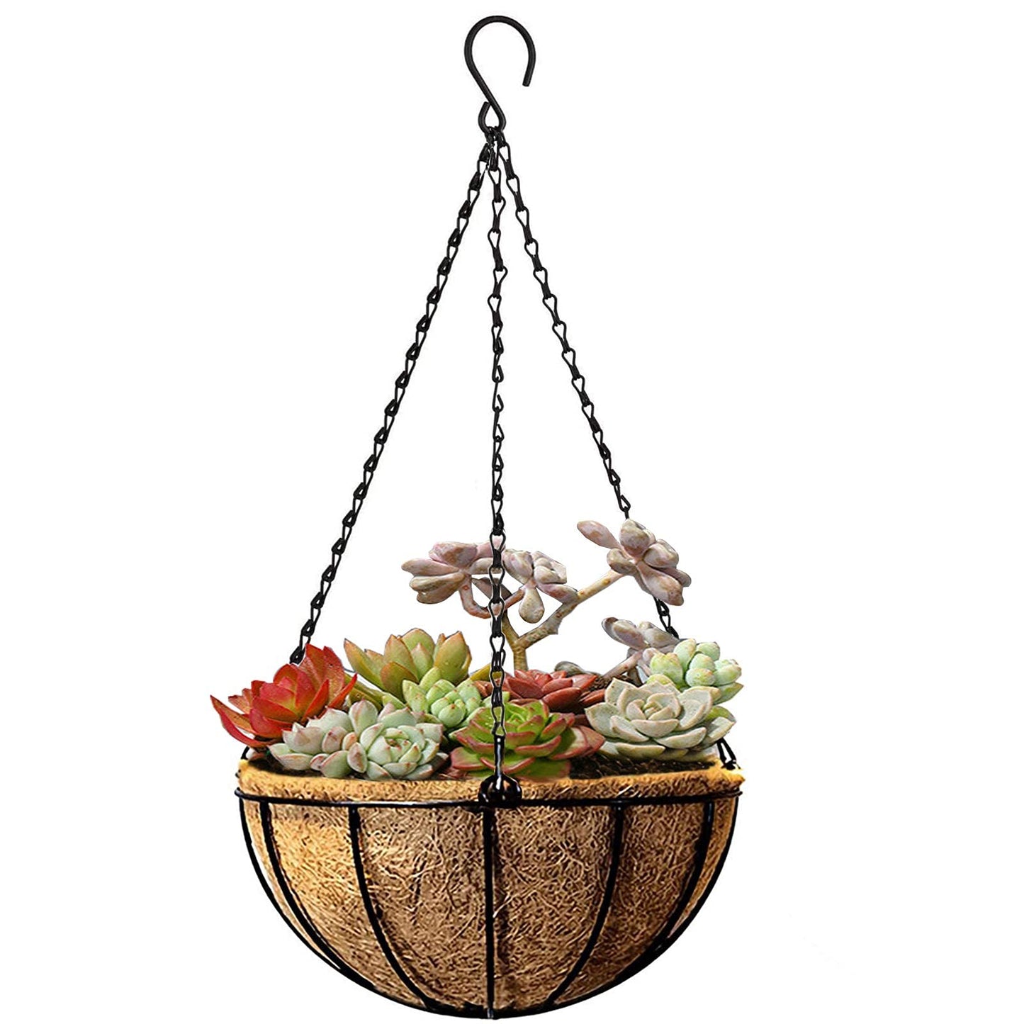 Kingbuy 8" Metal Hanging Plant Baskets with Coconut Liner (1 Pack) - Farmhouse Wire Planters Flower Pots for Plants Ferns Indoor Outdoor Balcony Patio Garden Decoration