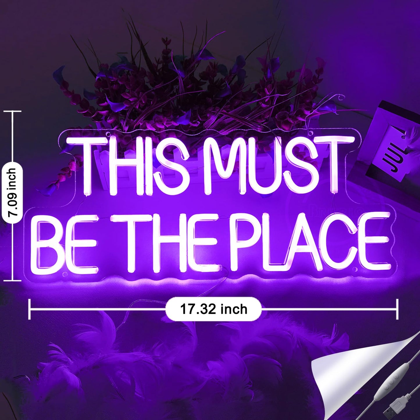 Britrio This Must Be The Place Neon Sign Light Gothic Wedding Birthday Party Decor Girl Bedroom LED Wall Art Decor Home Bar Office Christmas Light 5V USB