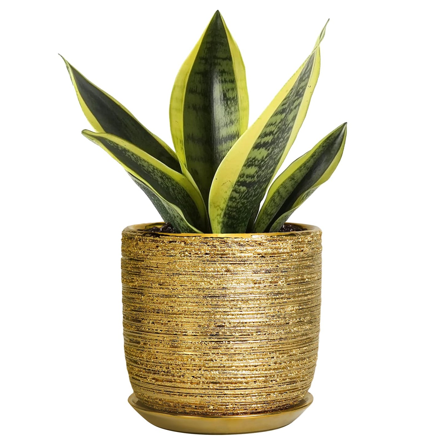 SUNPOTFOR Succulent Pot 5 Inch - Ceramic Plant Pot for Indoor Flowers, Decorative Round Indoor Planter with Drainage Hole and Saucer, Plant Lover Gifts, Patio Office Home Room Decor, Gold