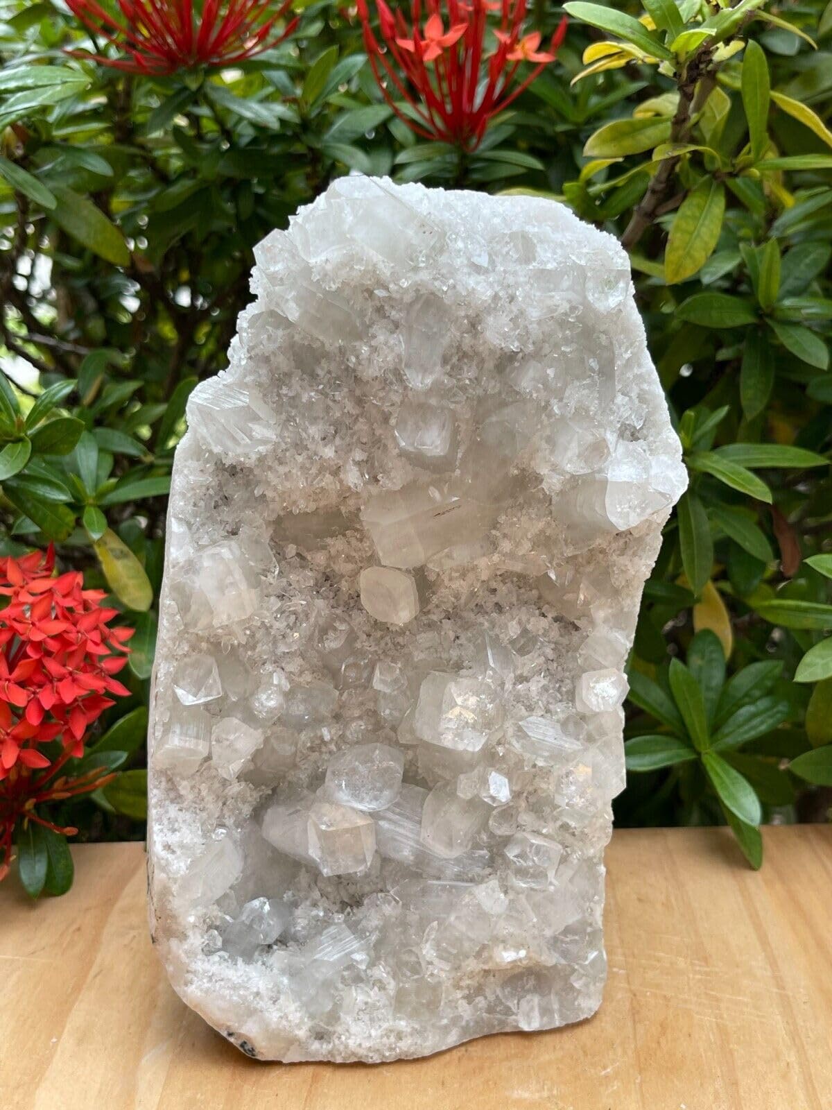 GAF TREASURES Apophyllite Cluster Geode Free Standing | Natural Apophyllite Crystal Display Piece | 0.5–9 lbs | Healing, Decor & Collectible Mineral