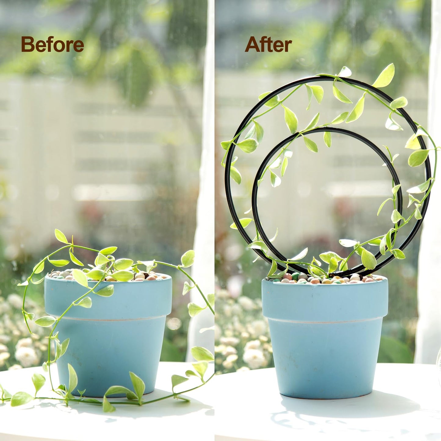 YOHSNOR Hoya Trellis Set of 3 Round Climbing Plant Supports - Small, Medium, Large - Sturdy Metal for Indoor & Outdoor Potted Plants - Easy Tool-Free Assembly - Great Choice for Plant Enthusiasts