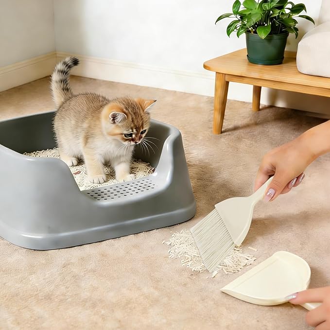 THINKLEARN 2PCS Mini Broom and Dustpan Set, Small Dustpan and Brush, Compact