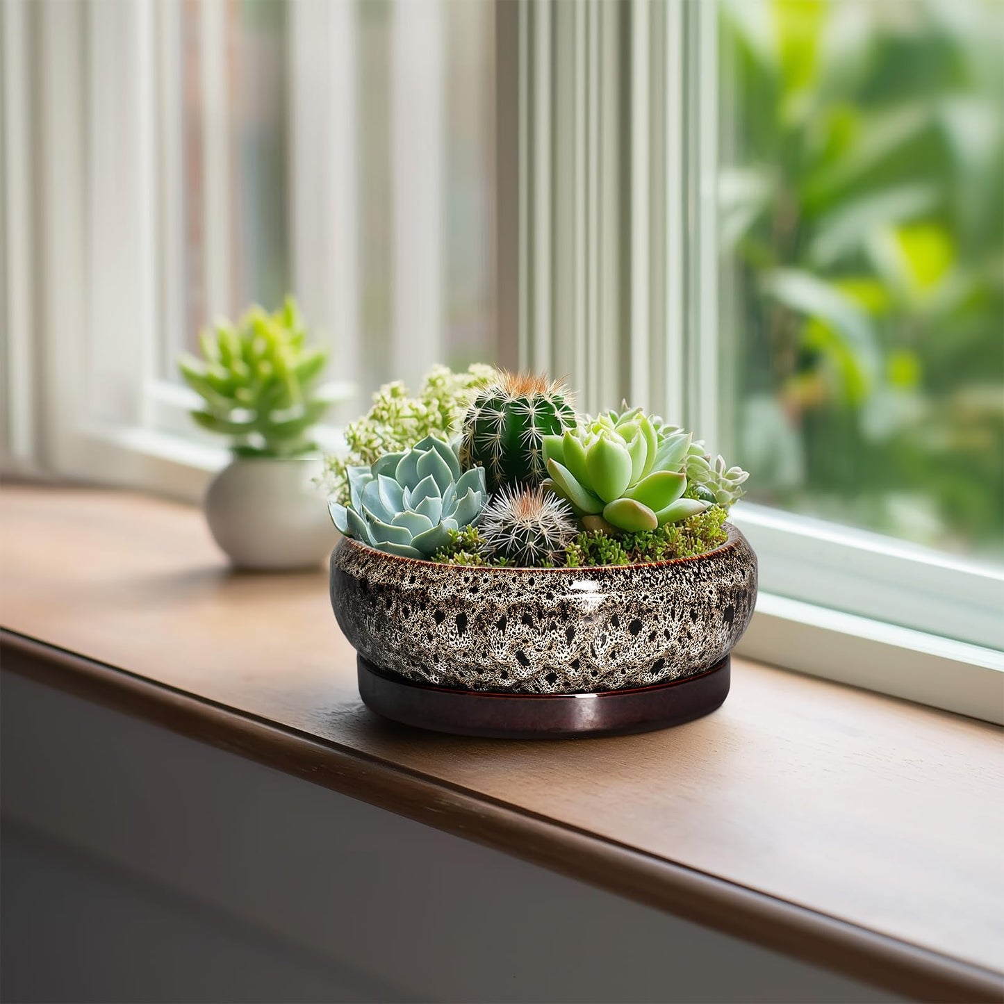 EPFamily Succulent Planter 6 Inch - Ceramic Bonsai Pots with Drainage Hole and Tray, Shallow Plant Pot Indoor Outdoor, Cactus Succulent Pot, Round Bonsai Planter, Home Decor, Plant Lover Gift, White