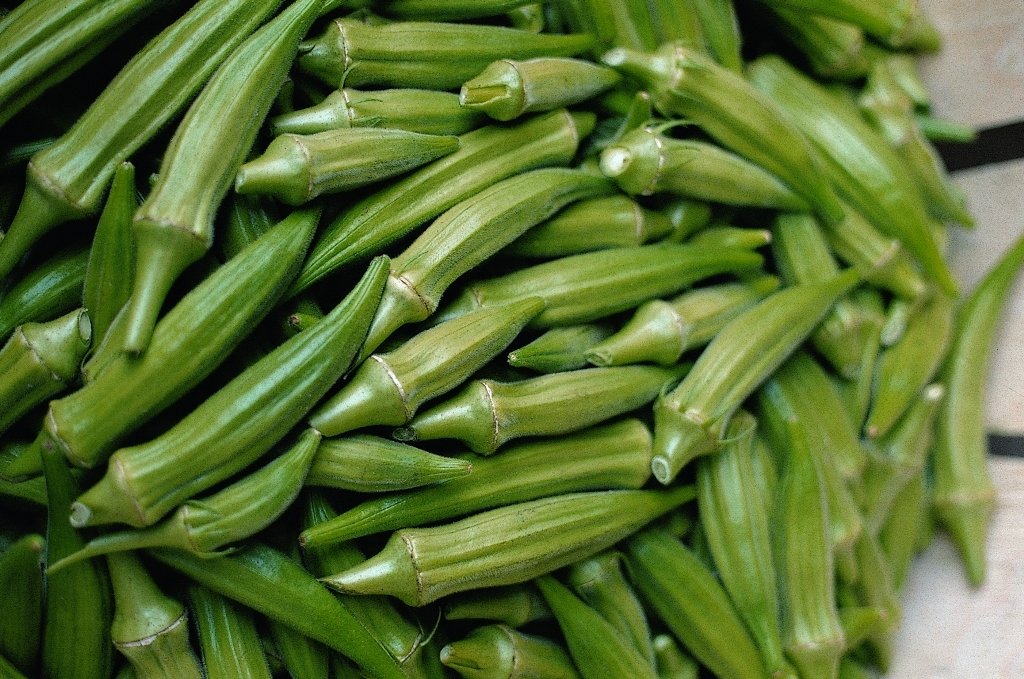 Okra Clemson Spineless 40-4000 Seeds Heirloom non gmo delicious tender pods (2000)