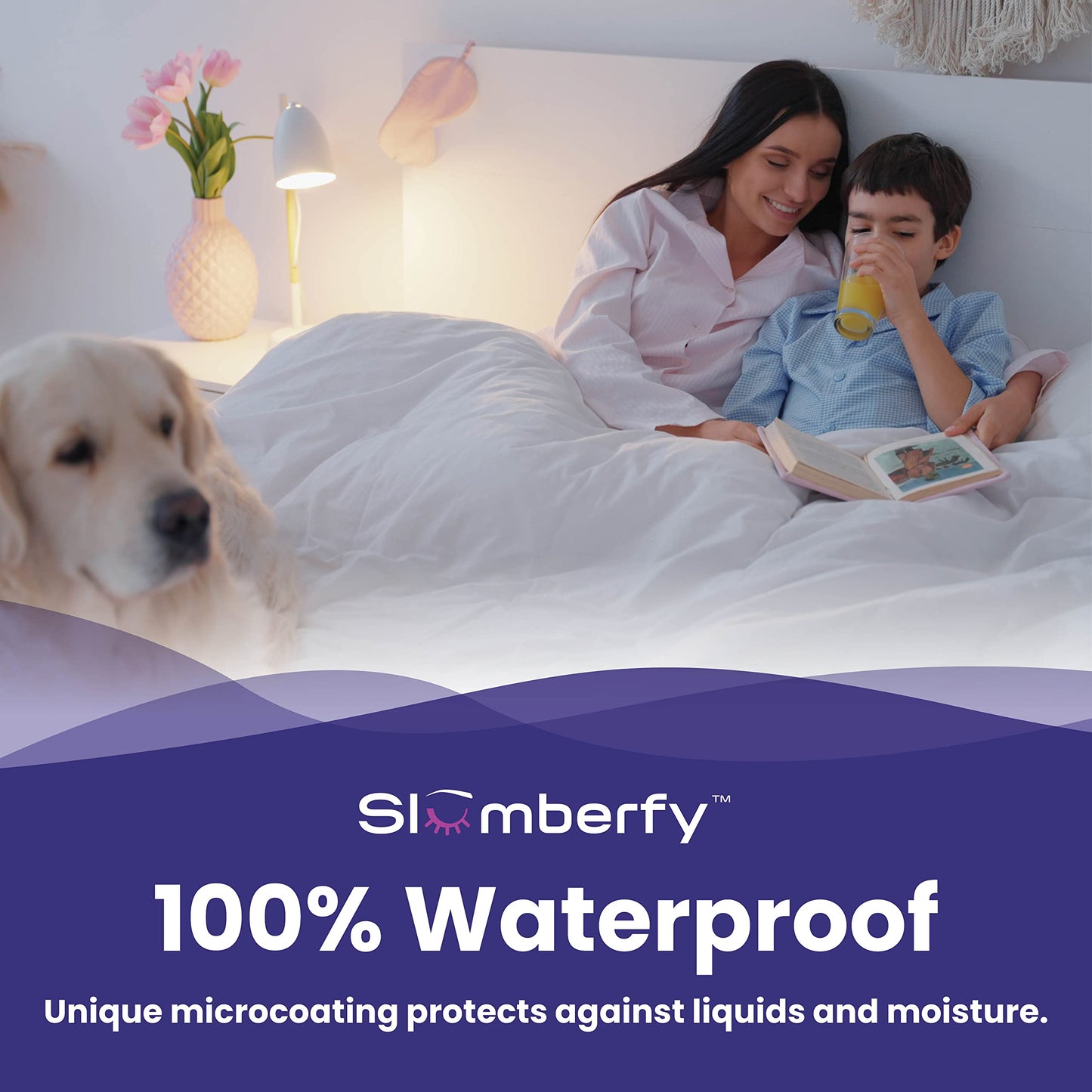 Queen Size Waterproof Bamboo Mattress Encasement by Slumberfy - Premium Skin-Safe Mattress Protector with 360° EZ Zipper, Lab-Tested Bed Bug, Zippered Encasement (60x80 in)
