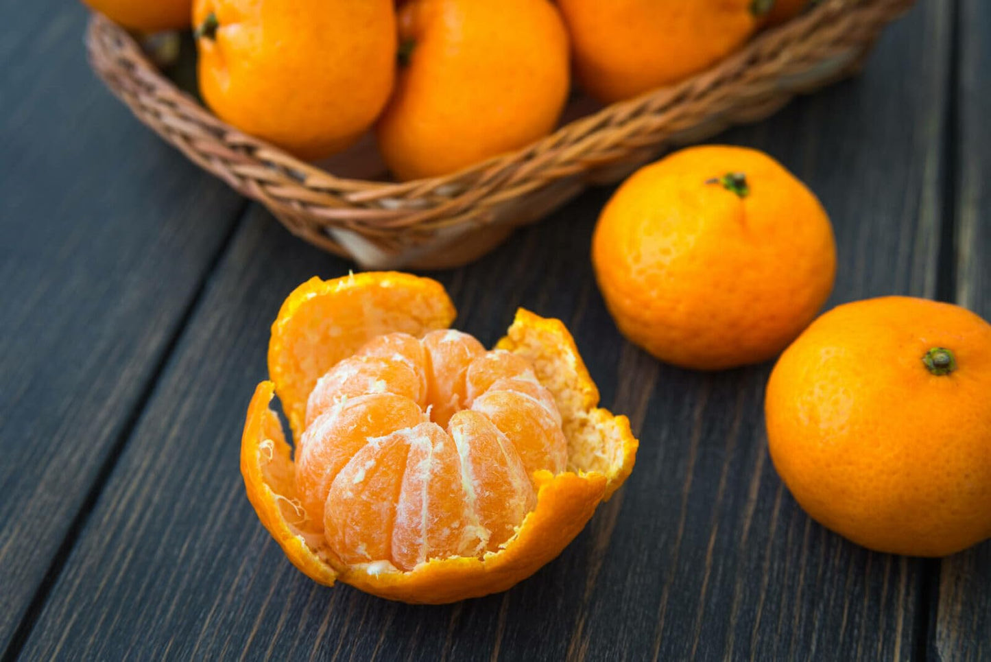2 Clementine Mandarin Trees - 2-5 Inch Tall Live Plants - Potted Orange Fruit Seedlings - Citrus x Clementina - (2 Pack)