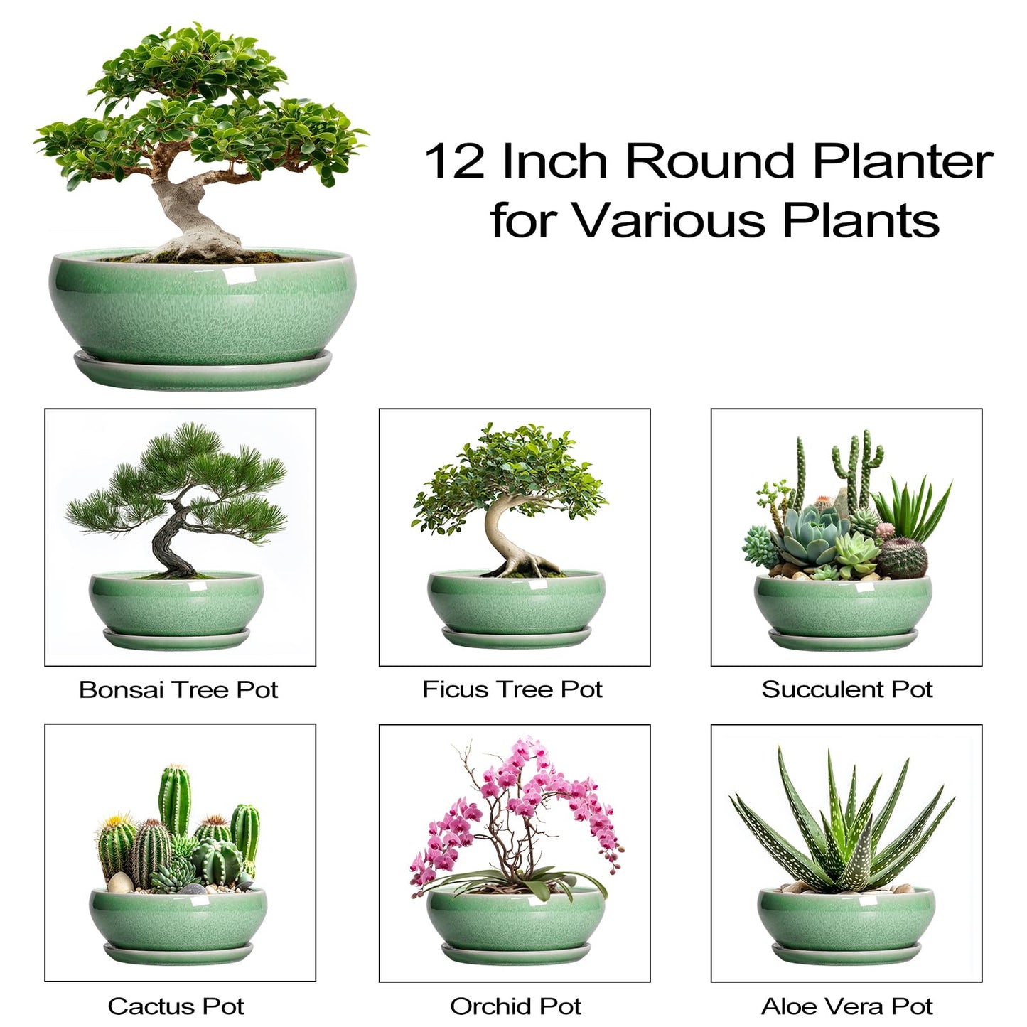 SQOWL Succulent Planter 12 Inch - Ceramic Bonsai Pots with Drainage Hole and Saucer, Large Shallow Planter, Bowl Round Planter for Indoor Outdoor Plants Flower, Room Decor, Birthday Gifts, Green