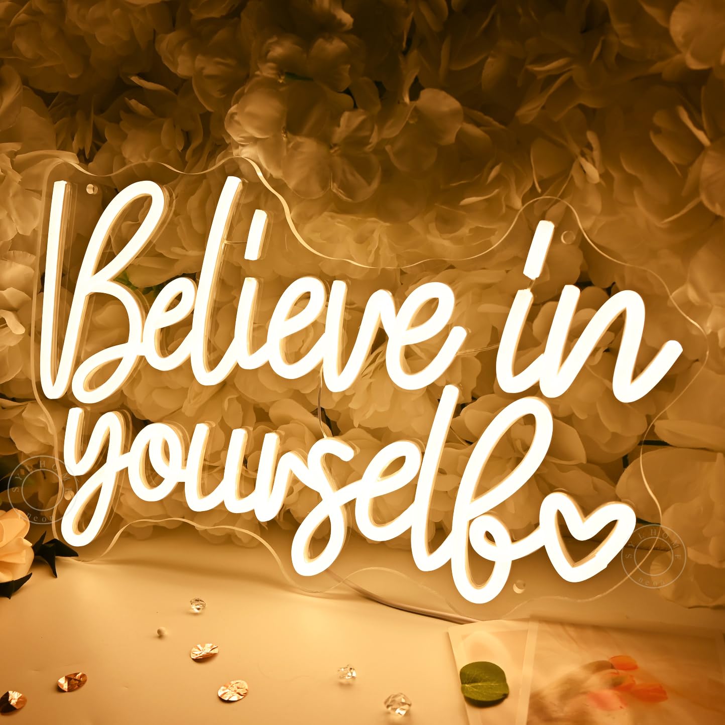SYLHOME Led Neon Light Sign Believe In Yourself Bedroom Classroom Inspirational Wall Sign Decor Positive Birthday Party USB 15.75" X 10.12"