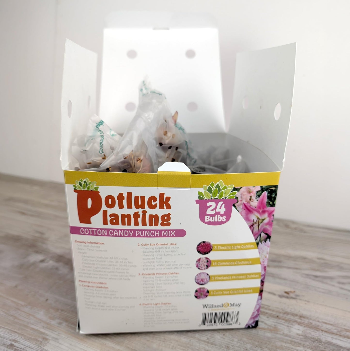 All-in-One Flower Bulb Garden Kit - Cotton Candy Punch Mix - 24 Flower Bulbs per Box - Dahlias, Gladiolus, Lilies - Fragrant - Naturalizing - Live Outdoor Potluck Planting - Easy to Plant Flowers