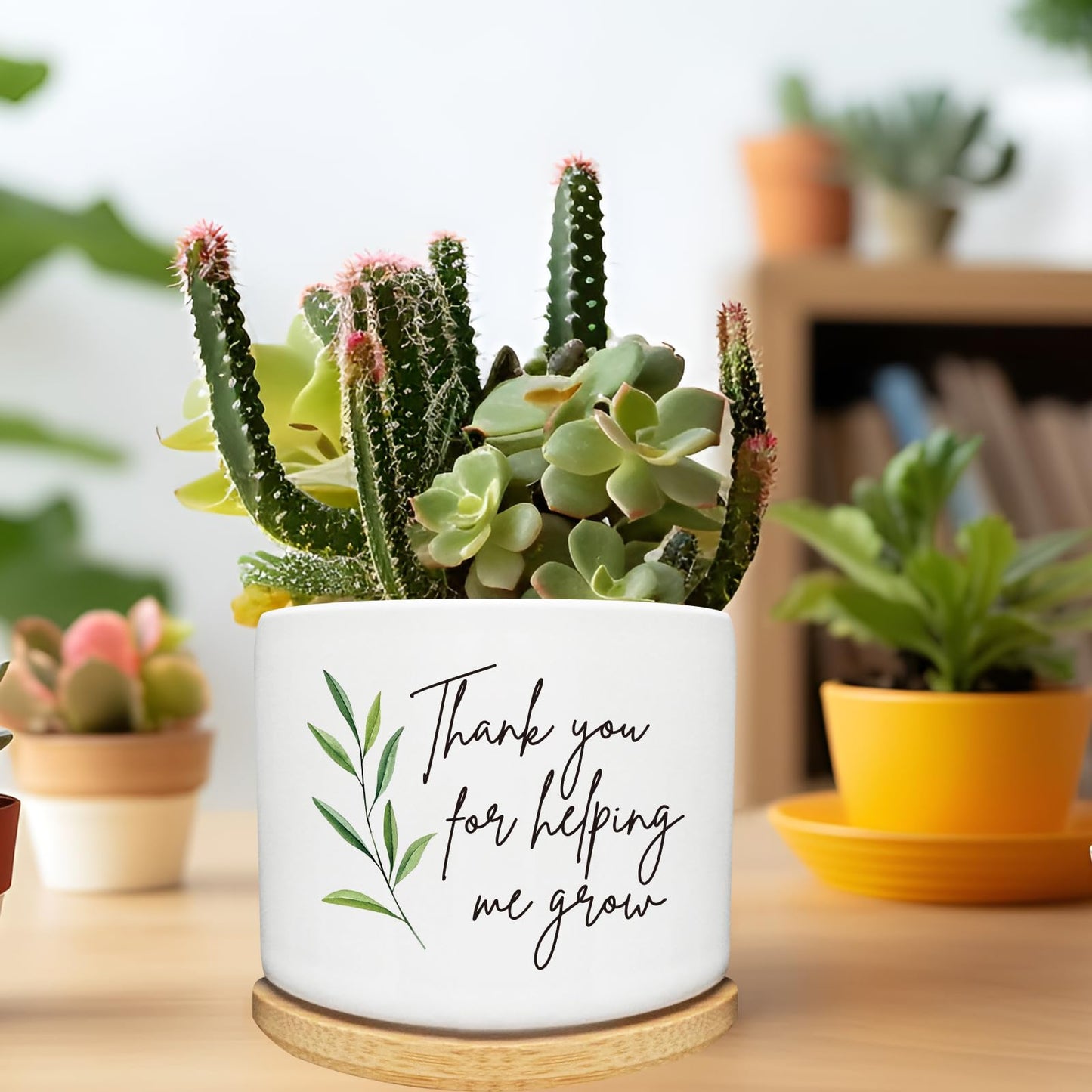Arosedmo Thank You for Helping Me Grow Succulent Cactus Planter Pots with Bamboo Tray, Office Kitchen Home Windowsill Indoor Tabletop Decor, Gift for Friends Mom Teachers Plant Lovers