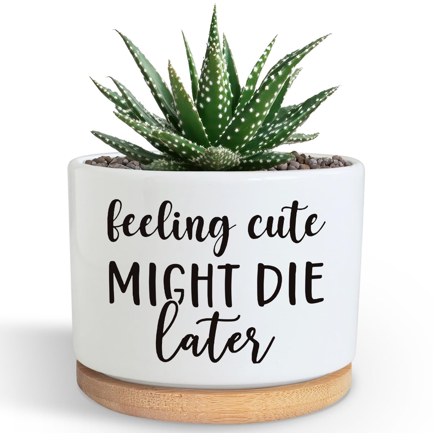 Funny Succulent Plant Pot, Cute 3.5 Inch Small Ceramic Cactus Plant Pot with Drainage, Home Office Desk Planter Pot for Friends Planter Lovers Birthday Christmas Housewarming Gifts (No Plants)